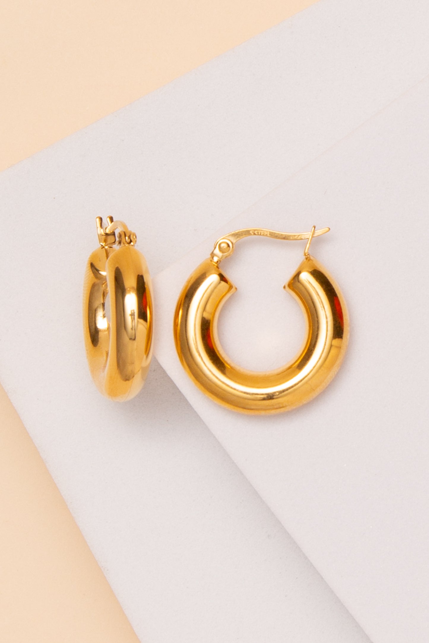 Chloe Hoop Earrings In 18K Gold Dipped or Stainless Steel