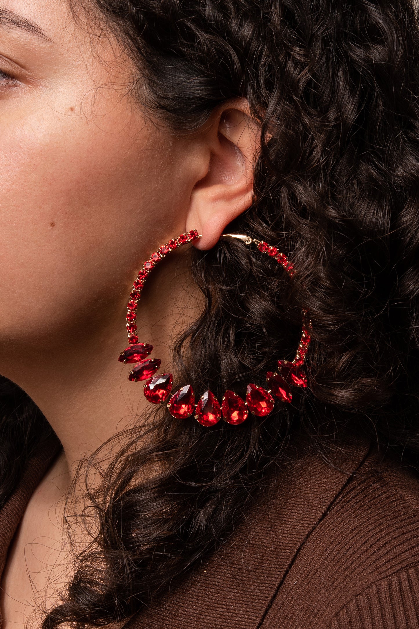 Rhinestone Embellished Hoop Earrings