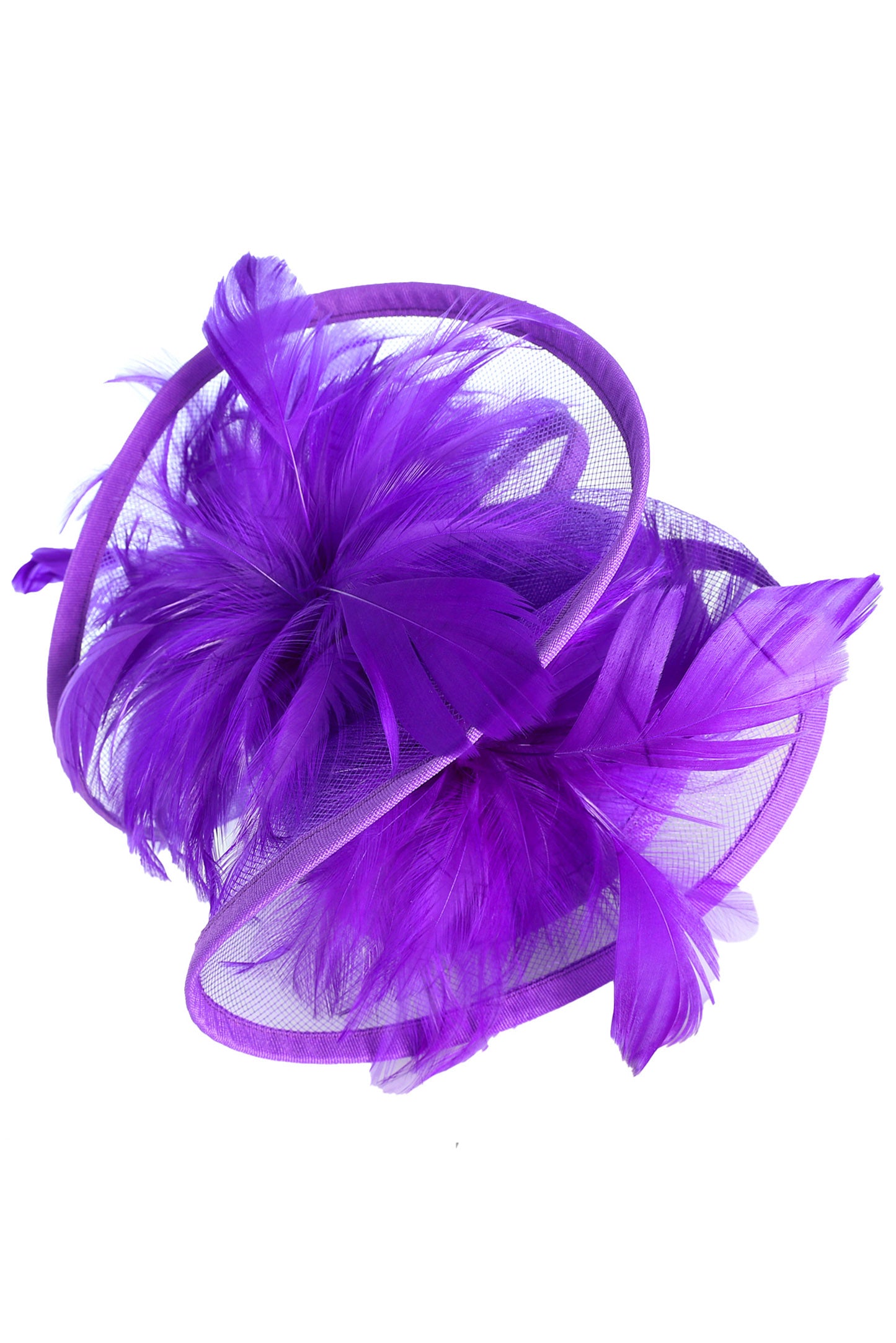 Sage Mesh Feather Clip & Headband