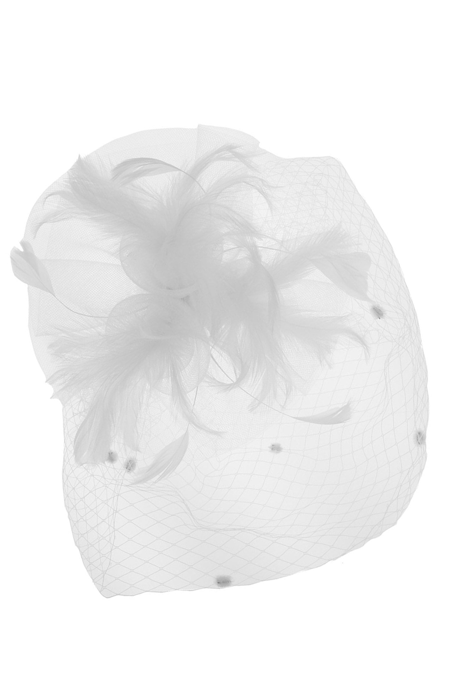 Nicole Organza Feather Flower w/ Dotted Netting Fascinator