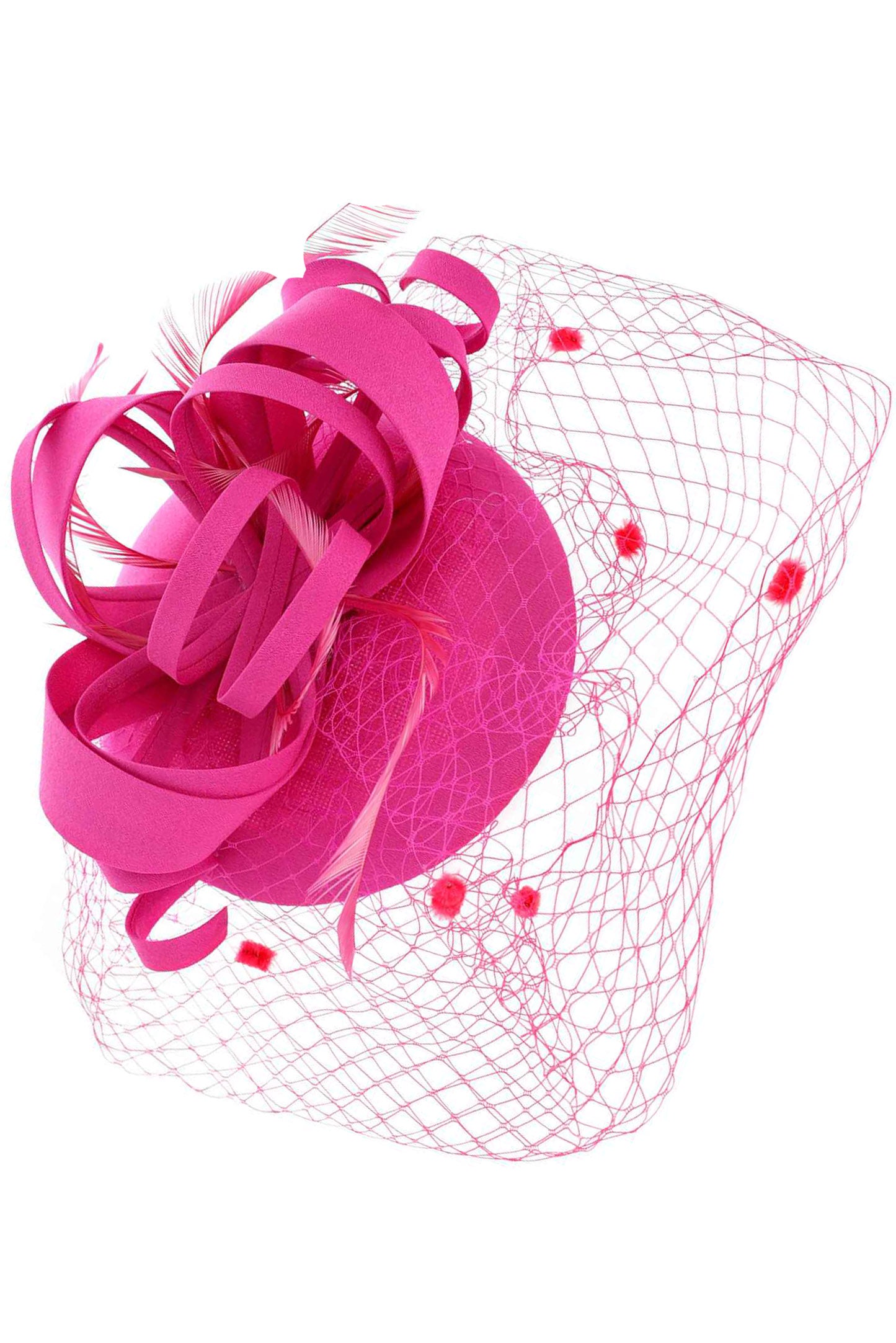 Briella Dotted Mesh Beret w/ Feathers and Loops Fascinator