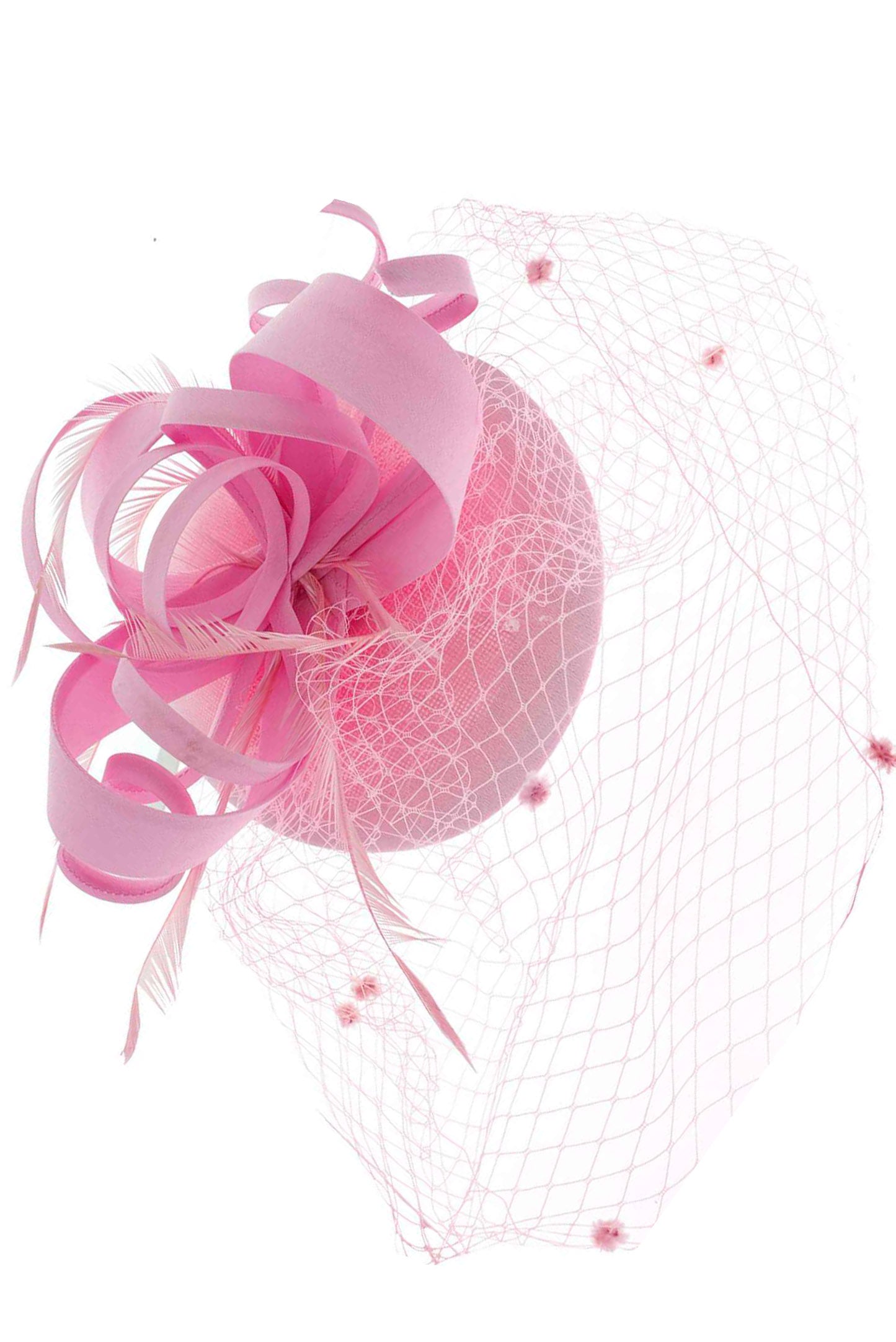 Briella Dotted Mesh Beret w/ Feathers and Loops Fascinator