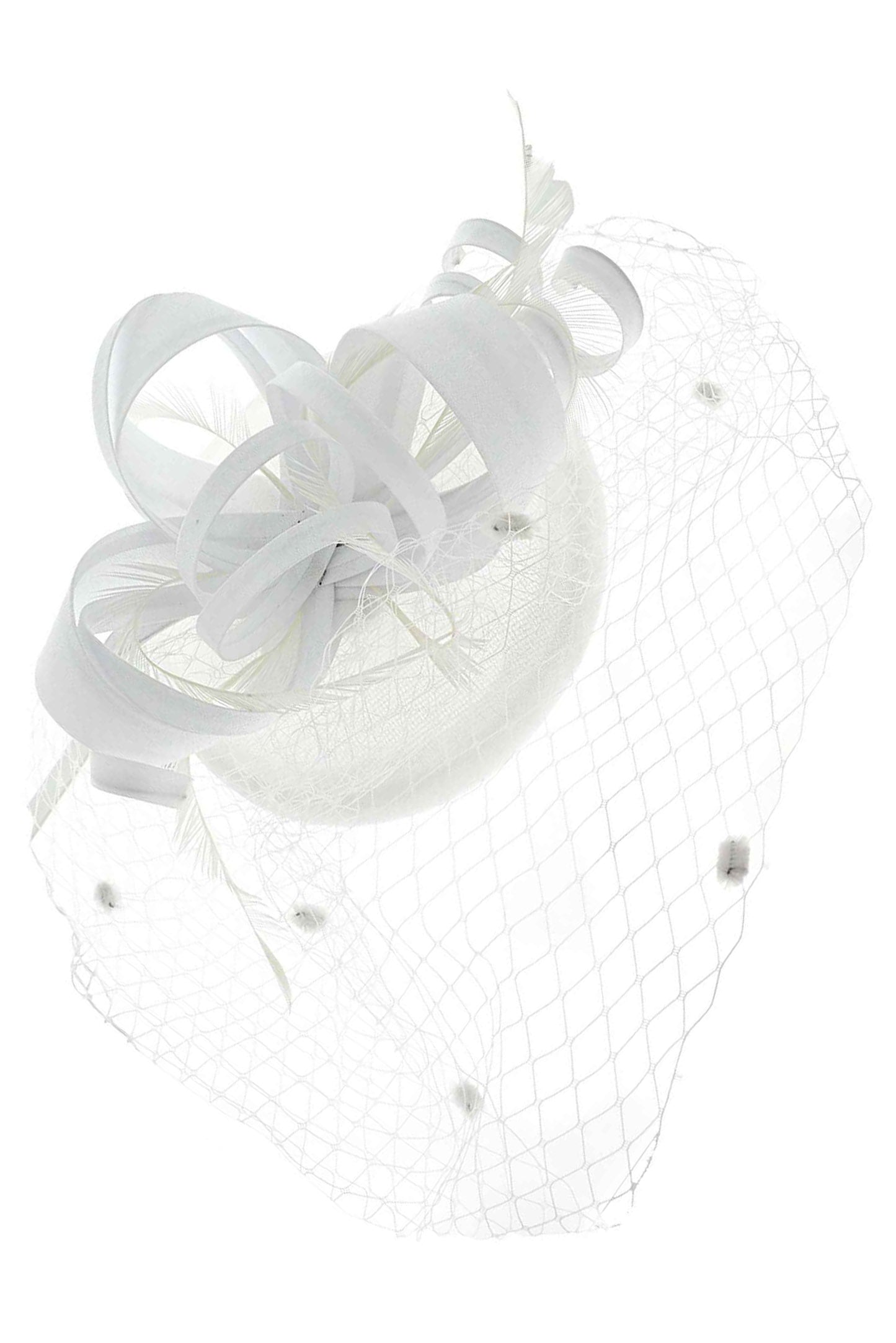 Briella Dotted Mesh Beret w/ Feathers and Loops Fascinator